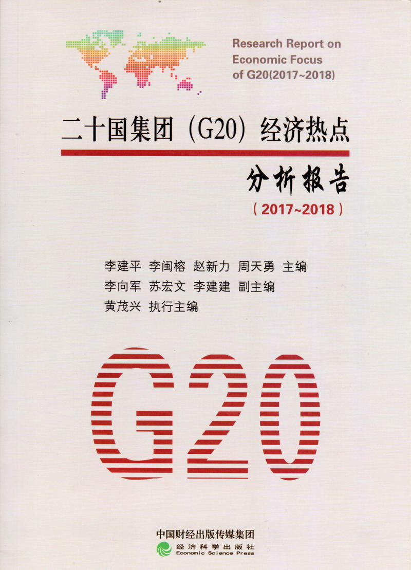 大鸡巴插逼网二十国集团（G20）经济热点分析报告（2017-2018）